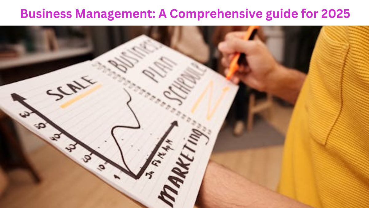 Business Management: comprehensive guide for 2025